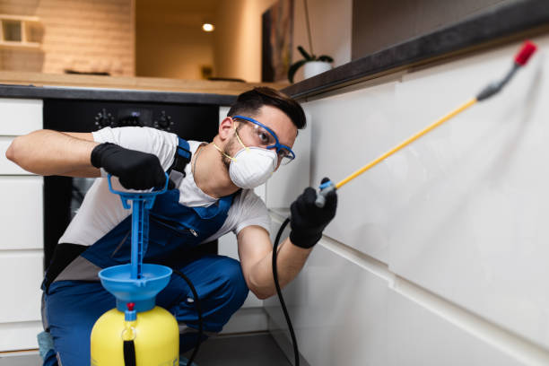 Best Commercial Pest Control Services  in Oronogo, MO