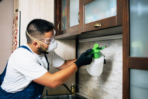 Best Pest Prevention Services  in Oronogo, MO