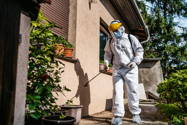 Best Best Pest Control Companies  in Oronogo, MO