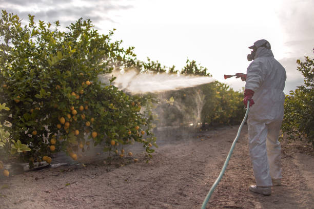 Best Commercial Pest Control Services  in Oronogo, MO