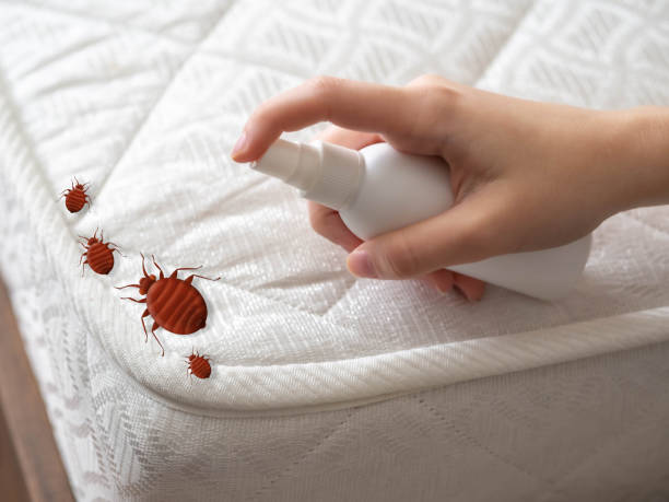 Reliable Oronogo, MO Pest Control Solutions