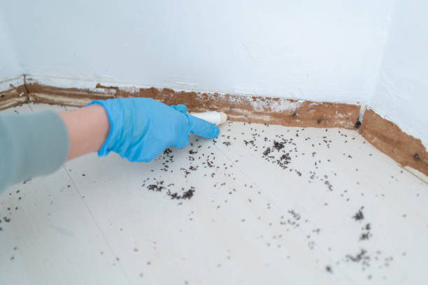 Best Commercial Pest Control Services  in Oronogo, MO